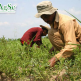 Empresarios del agro preocupados por desaprovechamiento del campo